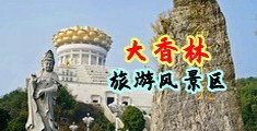 操屄毛肉穴视频中国浙江-绍兴大香林旅游风景区